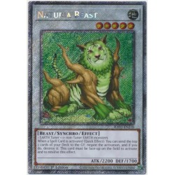 Quarter Century Bonanza - Naturia Beast