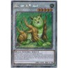 Quarter Century Bonanza - Naturia Beast