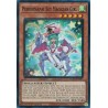 Supreme Darkness - Performapal Sky Magician Girl