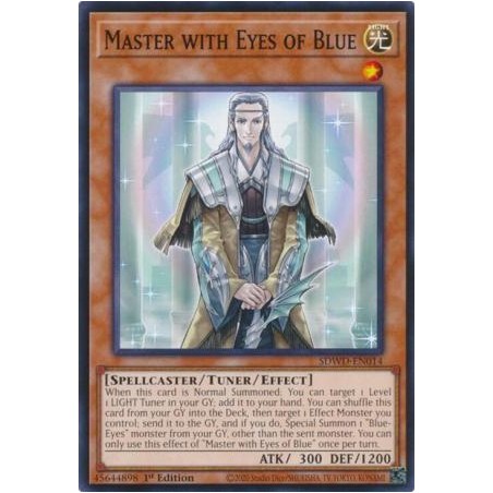Blue-Eyes White Destiny - Master with Eyes of Blue