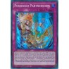 Spirit Charmers - Possessed Partnerships