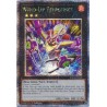 Quarter Century Stampede - Wind-Up Zenmaines