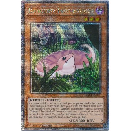Quarter Century Stampede - Danger!? Tsuchinoko?