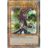 Quarter Century Stampede - Dark Magician (6th Art)