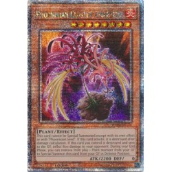 Quarter Century Stampede - Phoenixian Cluster Amaryllis