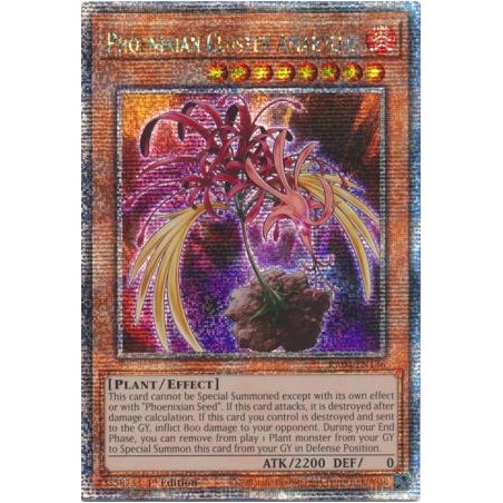 Quarter Century Stampede - Phoenixian Cluster Amaryllis