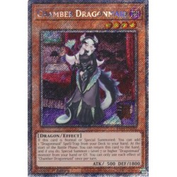 Quarter Century Stampede - Chamber Dragonmaid