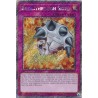 Quarter Century Stampede - Breakthrough Skill