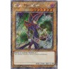 Quarter Century Stampede - Dark Magician (6th Art)