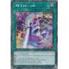 Quarter Century Stampede - Dueltaining
