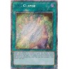 Quarter Century Stampede - Soul Charge