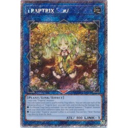 Quarter Century Stampede - Traptrix Sera