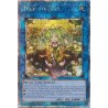 Quarter Century Stampede - Traptrix Sera