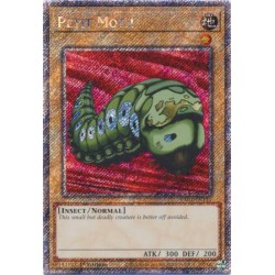 Quarter Century Stampede - Petit Moth