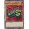 Quarter Century Stampede - Petit Moth