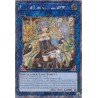 Quarter Century Stampede - Lyna the Light Charmer, Lustrous
