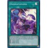 Quarter Century Stampede - Onomatopaira