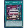 Quarter Century Stampede - Secret Password