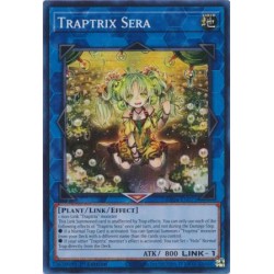 Quarter Century Stampede - Traptrix Sera