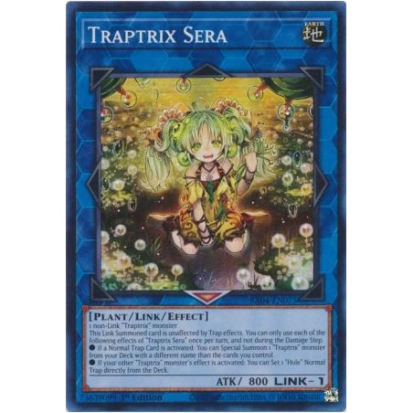 Quarter Century Stampede - Traptrix Sera