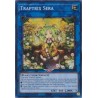 Quarter Century Stampede - Traptrix Sera