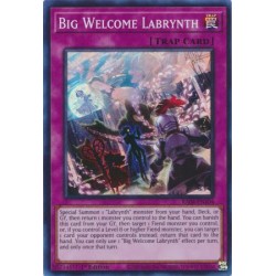 Quarter Century Stampede - Big Welcome Labrynth