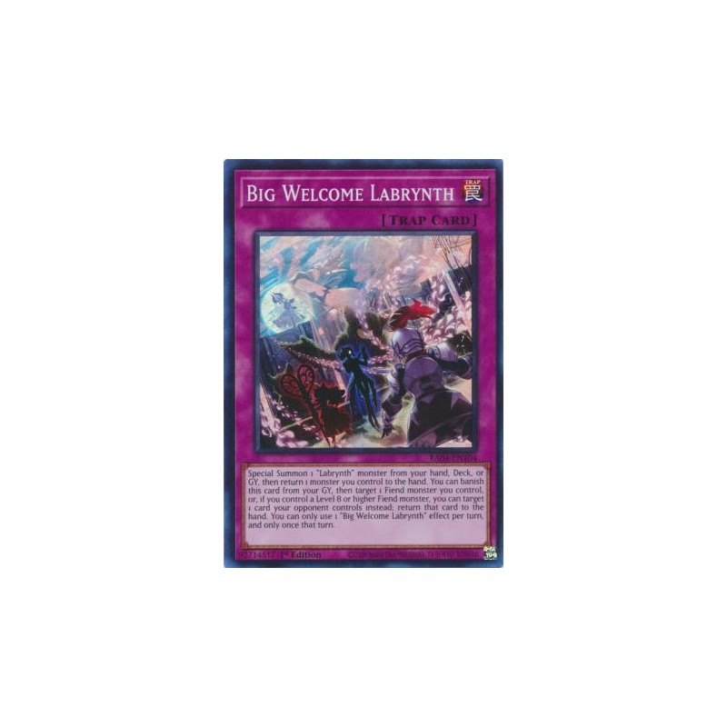 Quarter Century Stampede - Big Welcome Labrynth