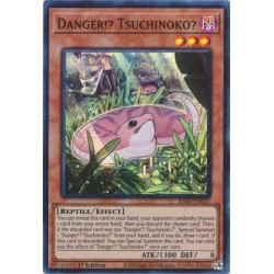 Quarter Century Stampede - Danger!? Tsuchinoko?