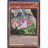 Quarter Century Stampede - Danger!? Tsuchinoko?