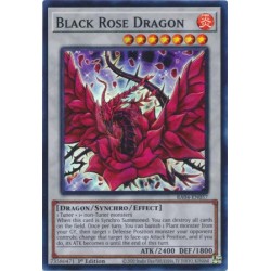 Quarter Century Stampede - Black Rose Dragon