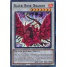 Quarter Century Stampede - Black Rose Dragon