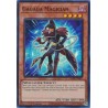 Quarter Century Stampede - Gagaga Magician