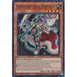 Quarter Century Stampede - Vanquish Soul Pantera