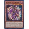Quarter Century Stampede - Apprentice Illusion Magician