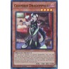 Quarter Century Stampede - Chamber Dragonmaid