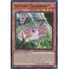 Quarter Century Stampede - Danger!? Tsuchinoko?