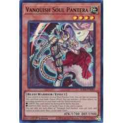 Quarter Century Stampede - Vanquish Soul Pantera