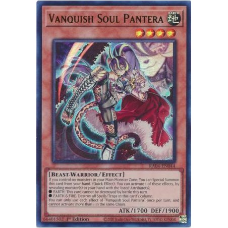 Quarter Century Stampede - Vanquish Soul Pantera