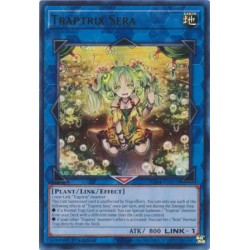 Quarter Century Stampede - Traptrix Sera