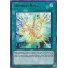 Quarter Century Stampede - Drytron Nova