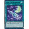 Quarter Century Stampede - Luna Light Perfume