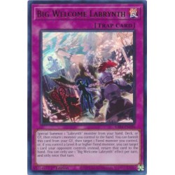 Quarter Century Stampede - Big Welcome Labrynth