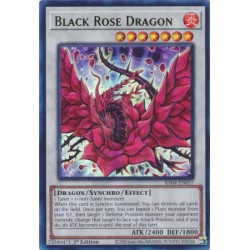 Quarter Century Stampede - Black Rose Dragon