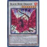 Quarter Century Stampede - Black Rose Dragon