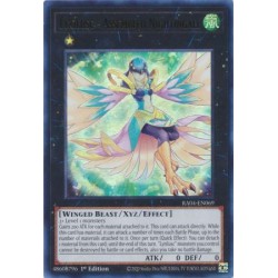 Quarter Century Stampede - Lyrilusc - Assembled Nightingale