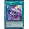 Quarter Century Stampede - Onomatopaira