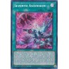 Quarter Century Stampede - Seventh Ascension