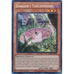 Quarter Century Stampede - Danger!? Tsuchinoko?
