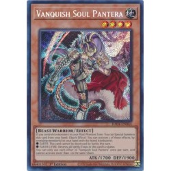 Quarter Century Stampede - Vanquish Soul Pantera