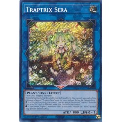 Quarter Century Stampede - Traptrix Sera
